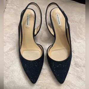 Alex Marie Navy Slingback Heels